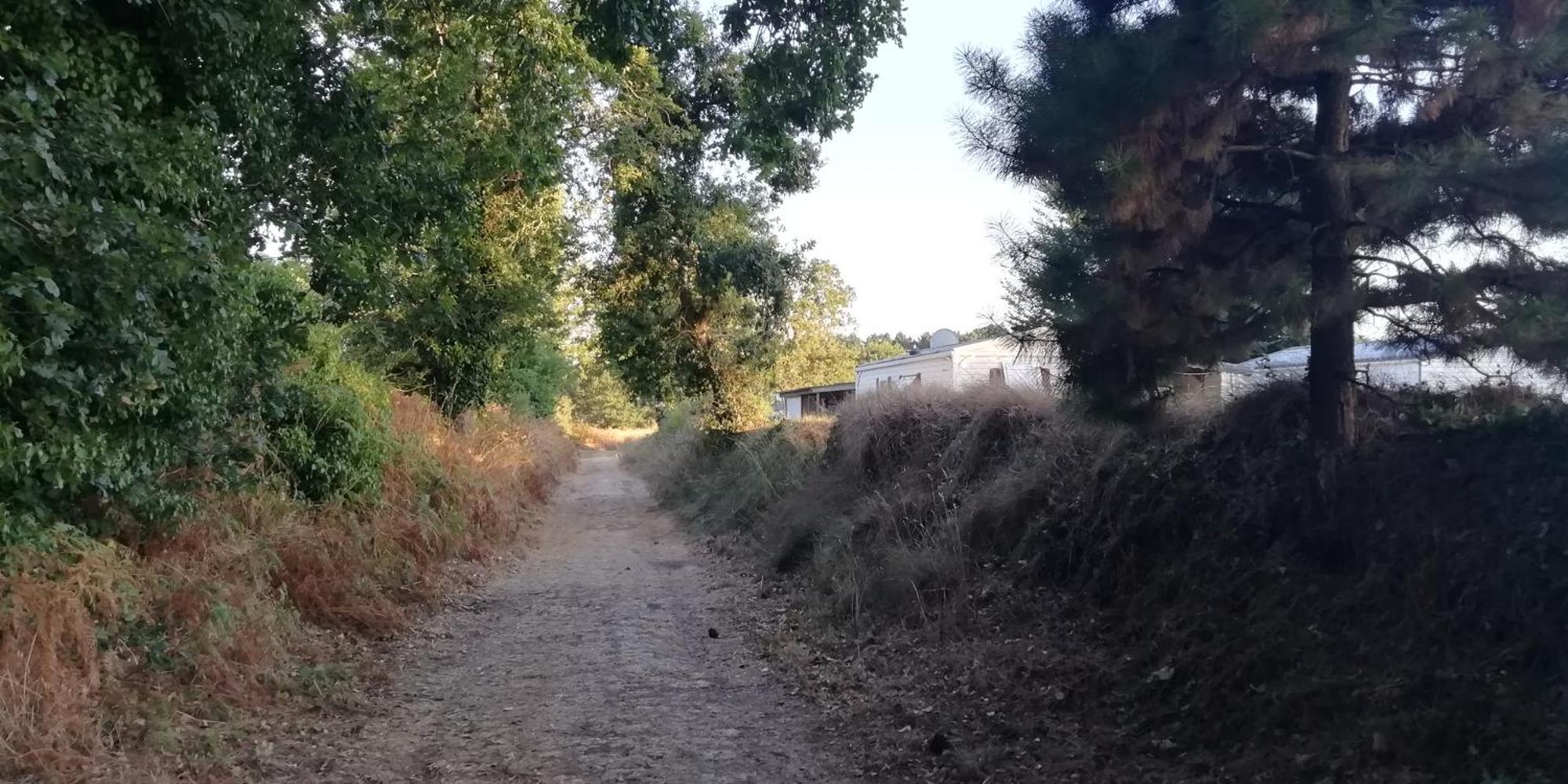 Camping Des Pierres Debout 内维兹 外观 照片